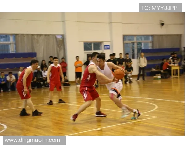 深圳篮球队的拼搏历程与荣耀之路深度解析